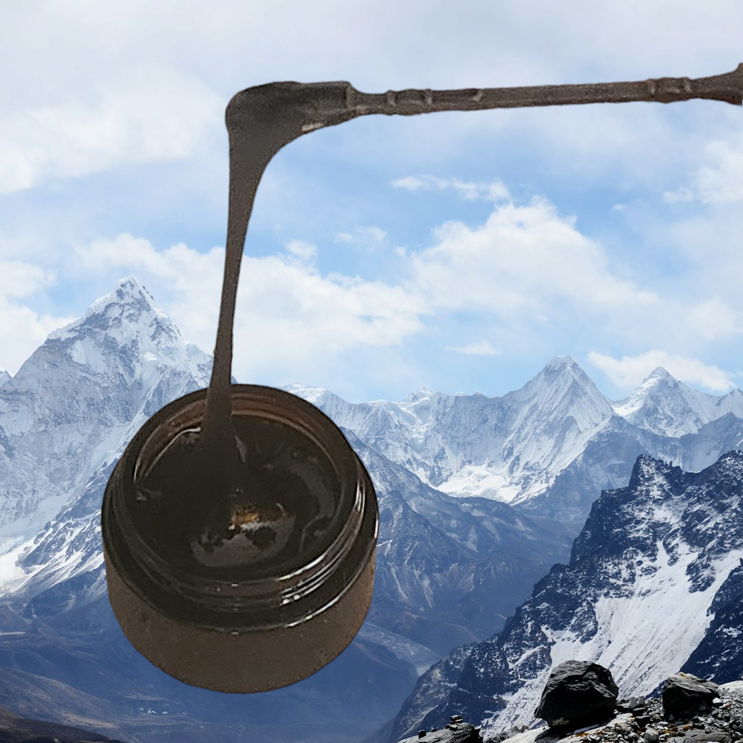 Pure Altai Mountain Shilajit Resin 25 Grams