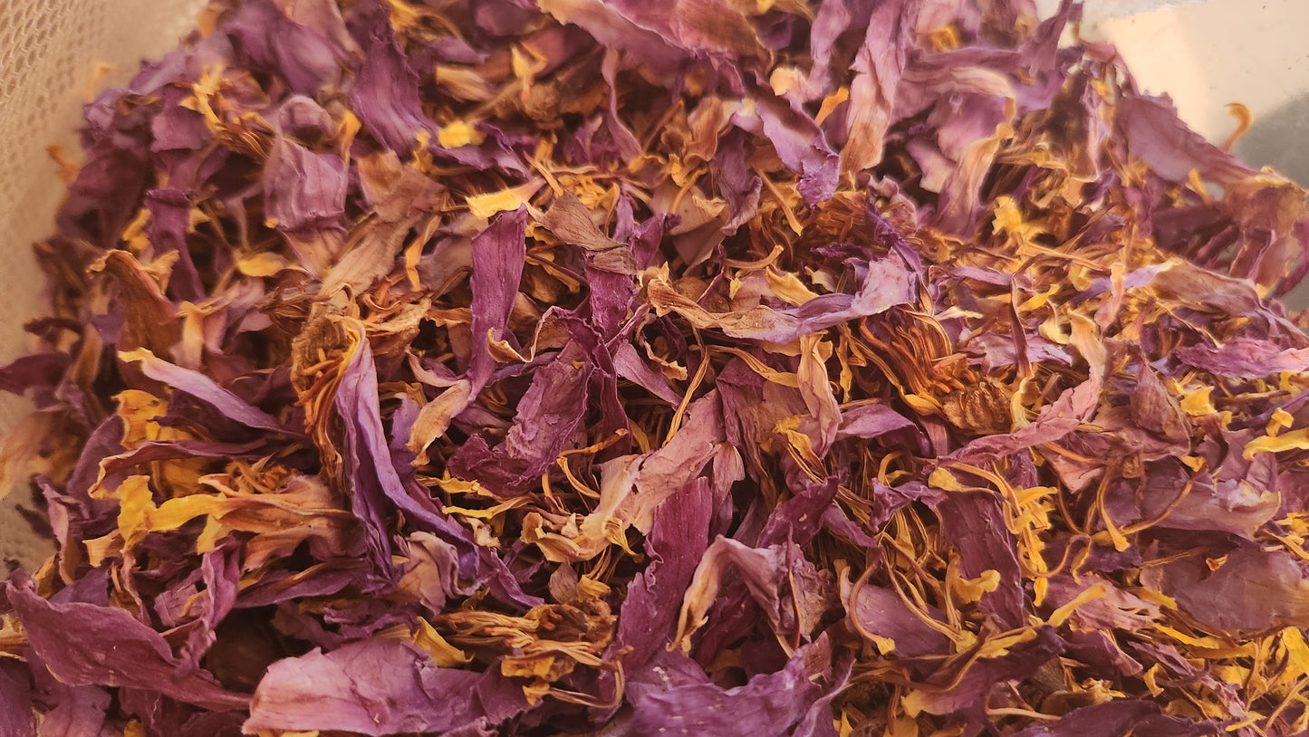 Blue Lotus Flower Loose Leaf